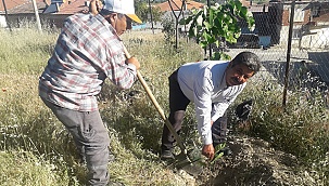ÇİFTÇİYE GELİR KAPISI OLACAK