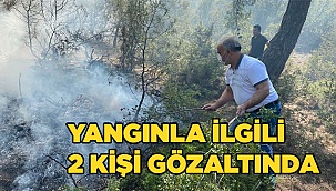 Denizli’deki orman yangınıyla ilgili 2 kişi gözaltına alındı