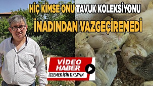 Denizli'nin tavuk koleksiyoncusu