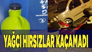 Hırsızlar çaldıkları zeytinyağı ile birlikte yakalandı