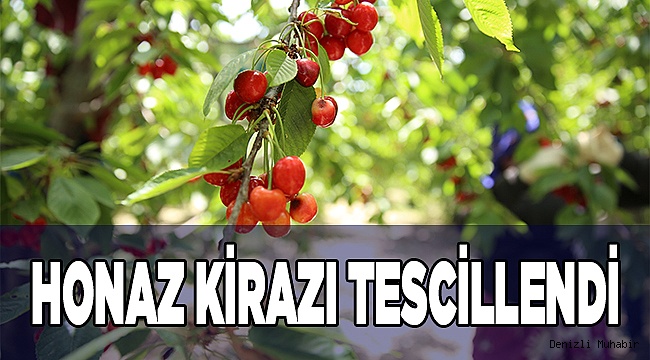Honaz kirazı tescillendi