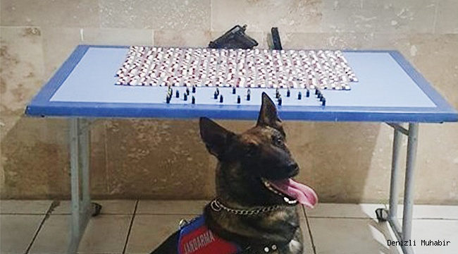 Jandarma yüzlerce uyuşturucu madde yakaladı