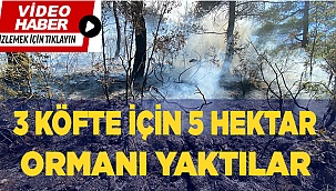 Kısıtlamada mangal yakan 3 kafadar 5 hektar ormanı kül etti