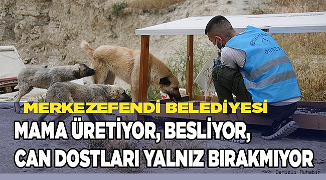 MAMA ÜRETİYOR, BESLİYOR, CAN DOSTLARI YALNIZ BIRAKMIYOR