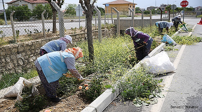 Merkezefendi de yeşil alanlar temizleniyor