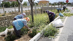 Merkezefendi de yeşil alanlar temizleniyor