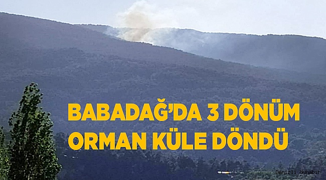 Orman yangınında 3 dönümlük alan küle döndü