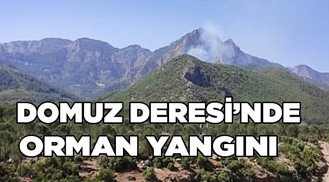 Ormanlık alandan yükselen dumanlar ekipleri seferber etti