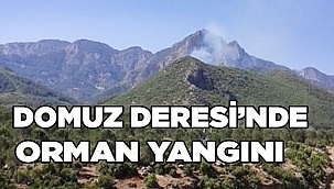Ormanlık alandan yükselen dumanlar ekipleri seferber etti