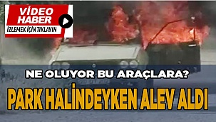 Park halindeki otomobil alevlere teslim oldu