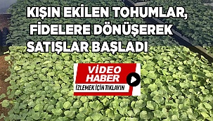 Seralarda yetiştirilen fideler, vatandaşların bahçesini süsleyecek