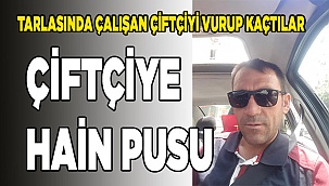Tarlasında çalışan çiftçi vuruldu