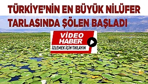 Türkiye’nin en büyük nilüfer tarlasında şölen başladı