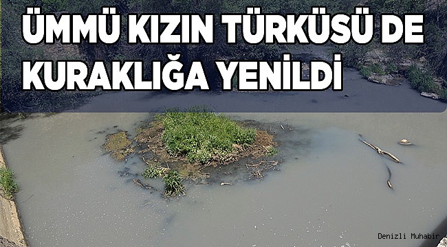 Ümmü kızın türküsü de kuraklığa yenildi