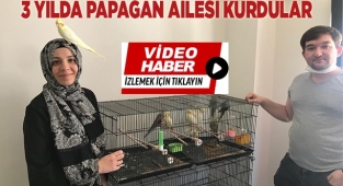 3 yılda papağan ailesi oldular