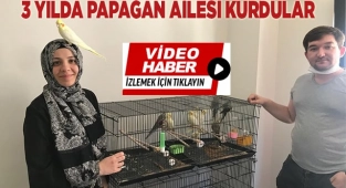 3 yılda papağan ailesi oldular
