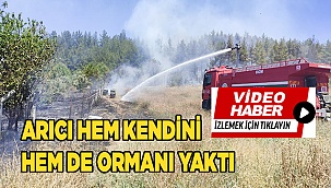 Arıcı hem kendini hem de ormanı yaktı