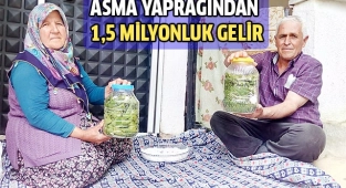 Asma yaprağından 1,5 milyonluk gelir