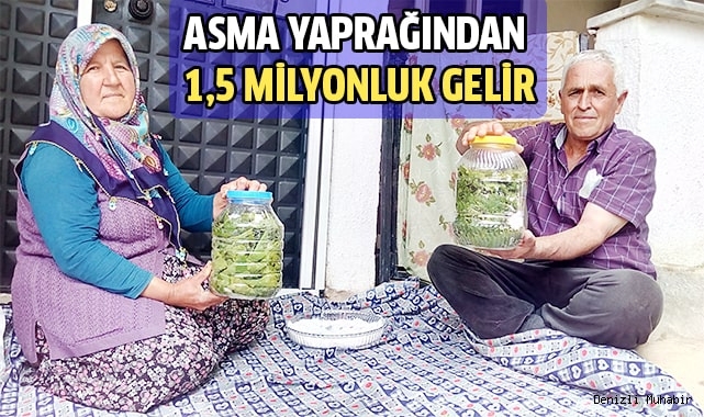 Asma yaprağından 1,5 milyonluk gelir