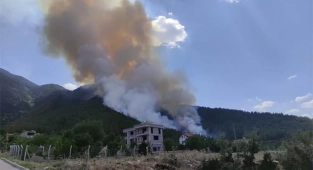 Bakan Pakdemirli’den Denizli’deki orman yangınıyla ilgili açıklama