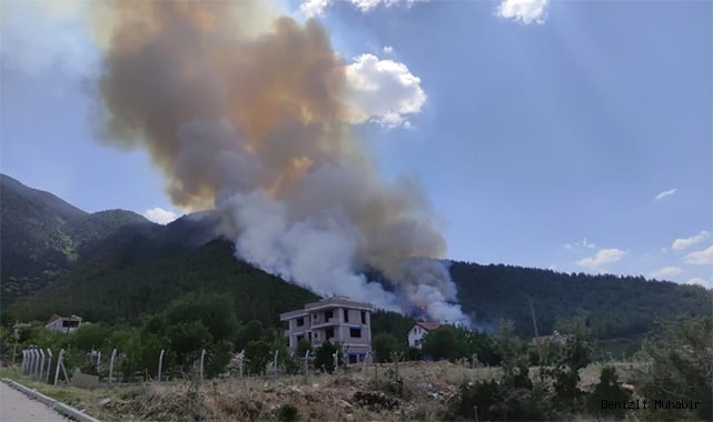 Bakan Pakdemirli’den Denizli’deki orman yangınıyla ilgili açıklama