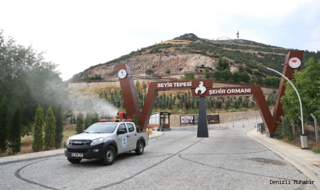 Başkan Örki: Seyir Tepesi'ni halkımız için steril hale getiriyoruz