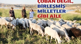 Birleşmiş Milletler gibi aile