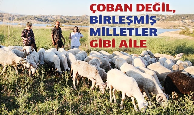 Birleşmiş Milletler gibi aile