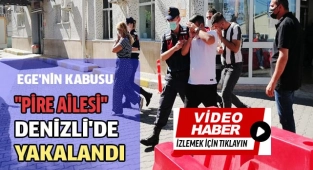 Bu pireler hayvanları komple alıp götürüyor