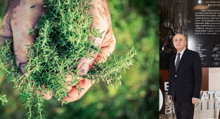 Dünya’nın kekiğini Türkiye üretiyor