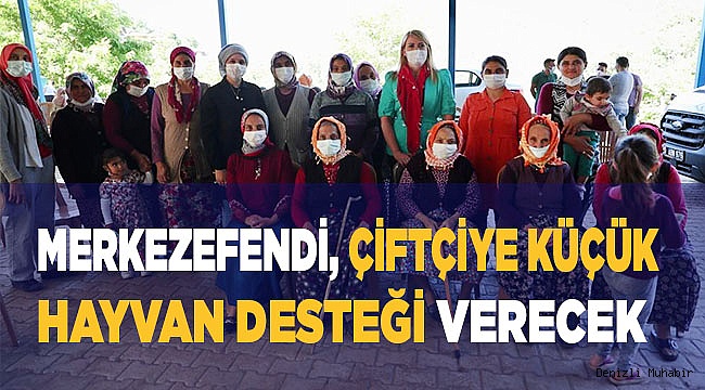 Fide desteğinin ardından kadın üreticilere küçükbaş hayvan desteği verilecek