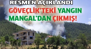 Göveçlik’i mangalcılar yakmış!