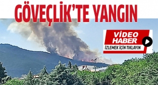 Göveçlik'te yangın