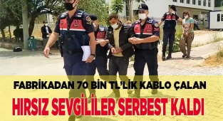 Hırsız sevgililer serbest
