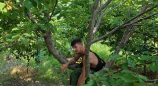 'Hızlı Gonzalez' kiraz ağacında yakalandı  