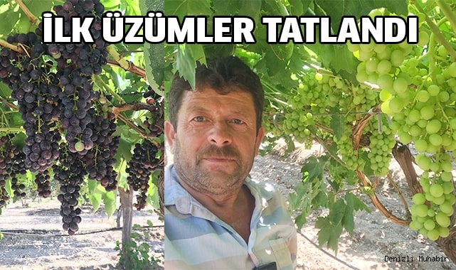 İlk üzümler tatlandı