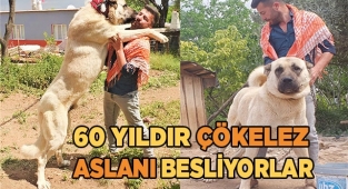 Irk bozulmasın diye özen gösteriyorlar