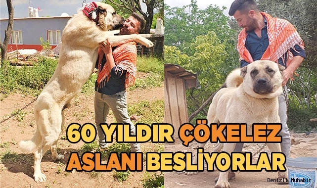 Irk bozulmasın diye özen gösteriyorlar