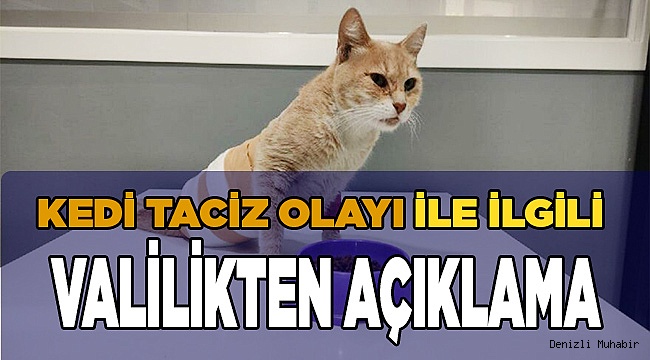 Kedi taciz olayı ile ilgili Valilikten açıklama