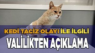 Kedi taciz olayı ile ilgili Valilikten açıklama