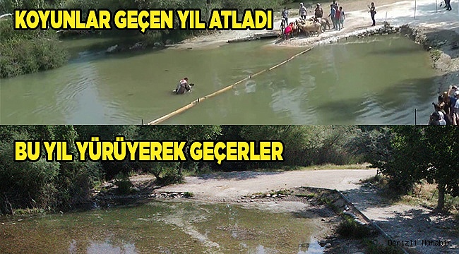 Kuraklık 8 asırlık 'Sudan koyun atlatma şenliğini' de vurdu