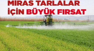 Miras tarlalar için büyük fırsat