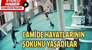 Namaz esnasında camiye giren köpek, cemaate korku dolu anlar yaşattı