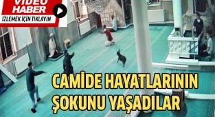 Namaz esnasında camiye giren köpek, cemaate korku dolu anlar yaşattı