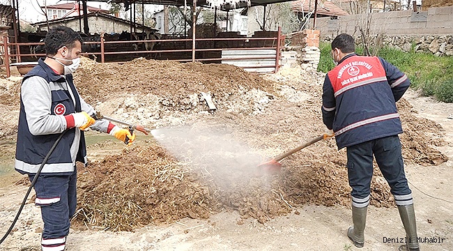 Pamukkale’de besihaneciler ilaçlama ile rahat nefes alıyor