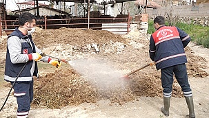 Pamukkale’de besihaneciler ilaçlama ile rahat nefes alıyor