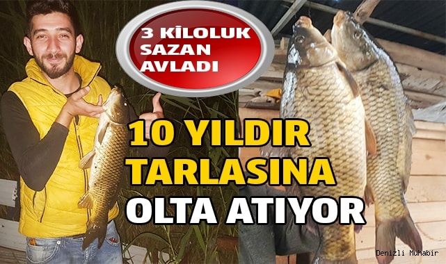 Tarlada oltasına 3 kiloluk sazan takıldı