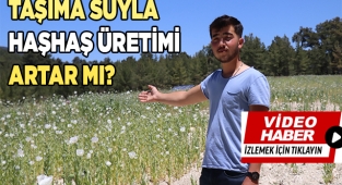 Taşıma suyla haşhaş rekoltesi artar mı?