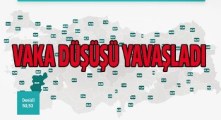 Vaka sayısı aynı seviyelerde
