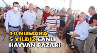 10 NUMARA 5 YILDIZ CANLI HAYVAN PAZARI